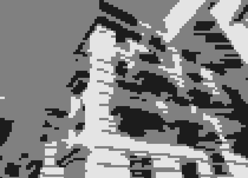 Al Balad Winter Season 2026 is here-image