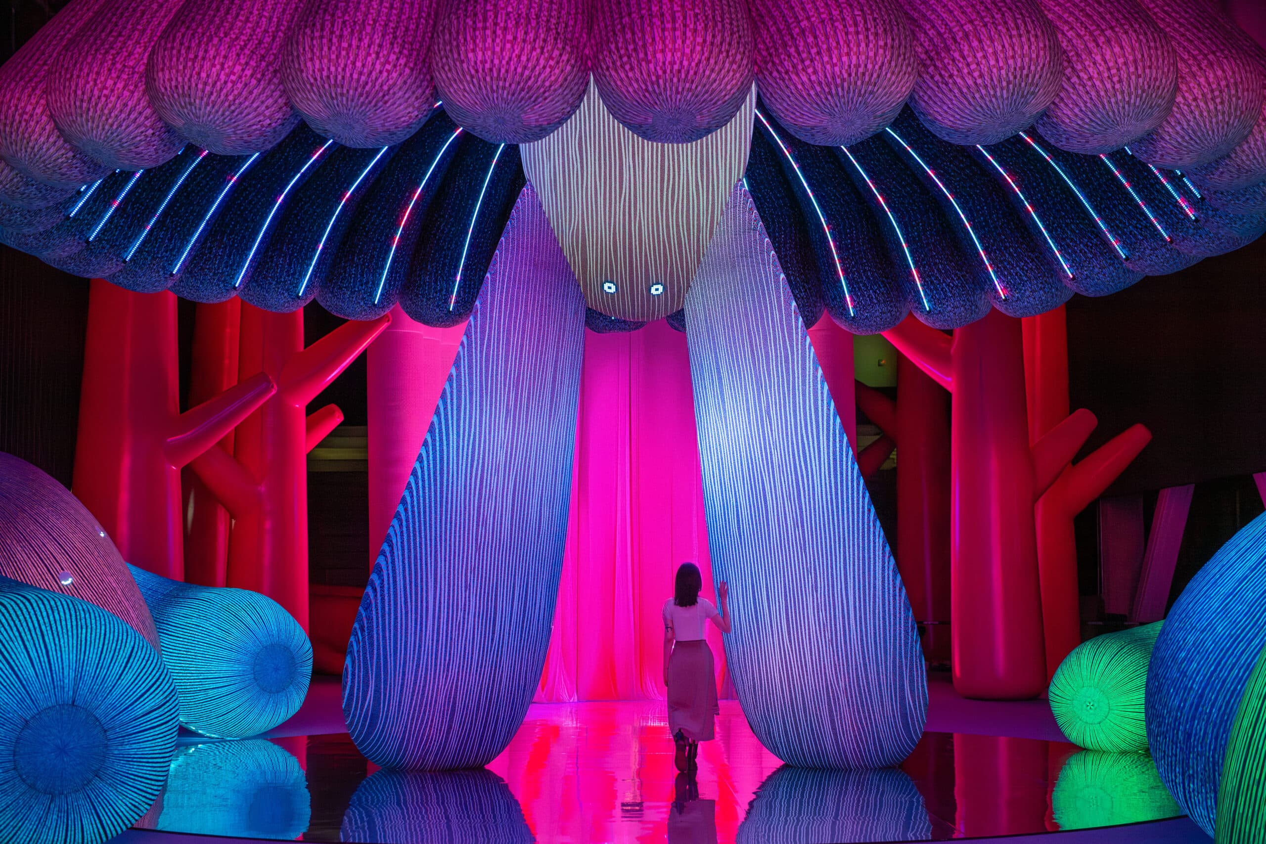 The FACT UAE Weekend Guide: 23 to 25 January 2026