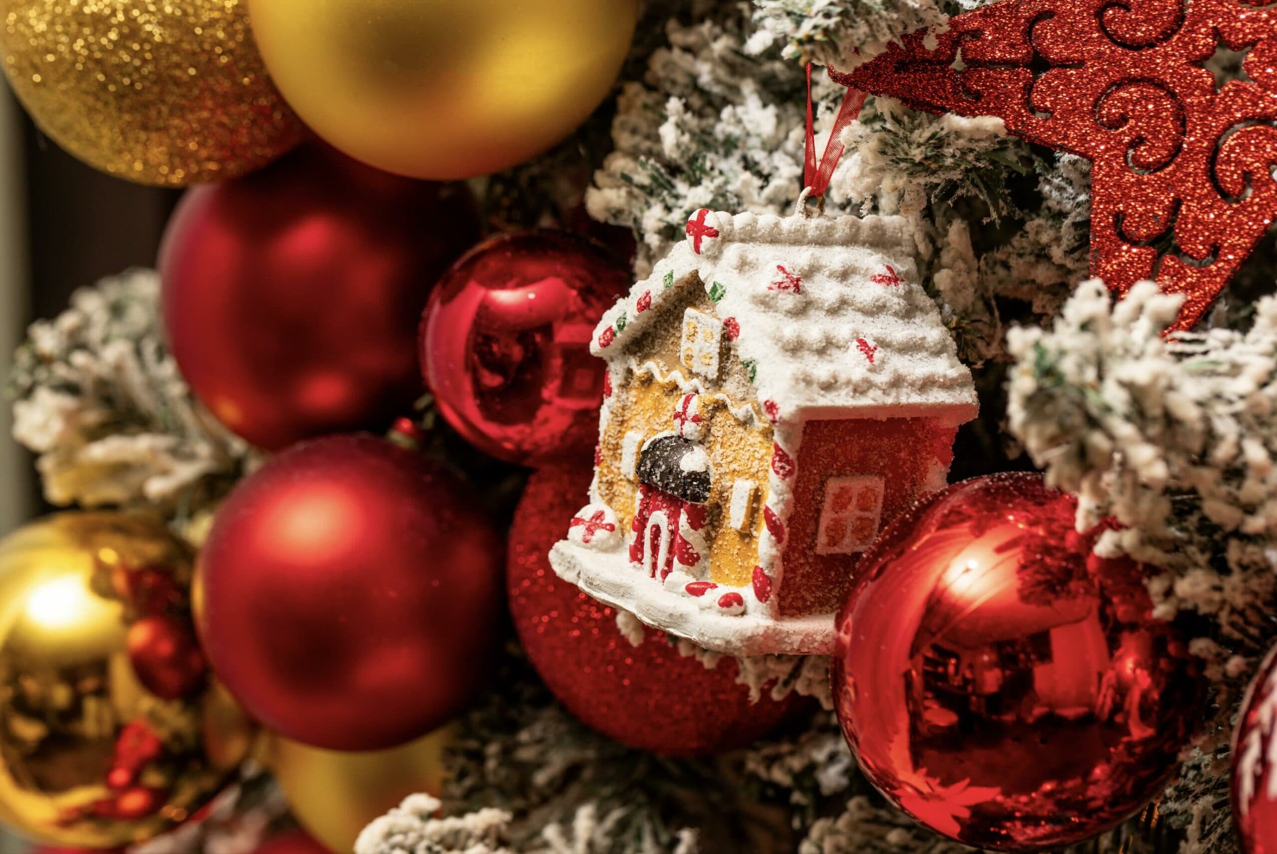 Swap city lights for desert nights this festive season at Al Wathba, a Luxury Collection Desert Resort &#038; Spa