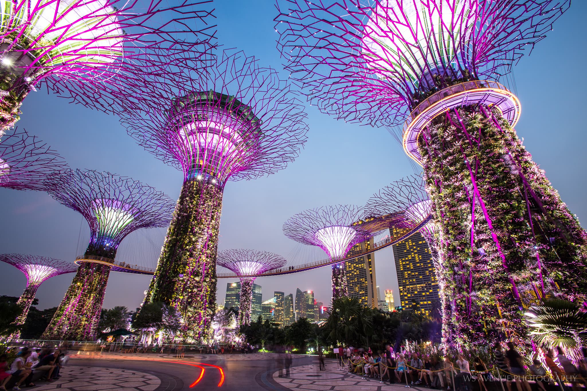 FACT expands to the Lion City with the launch of FACT Singapore